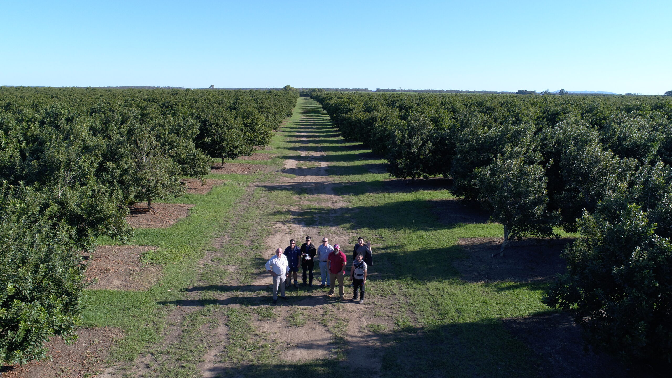 Harvest In-Shell Macadamia — Pure, Fresh, and Close to Nature 2 DJI 0072 scaled