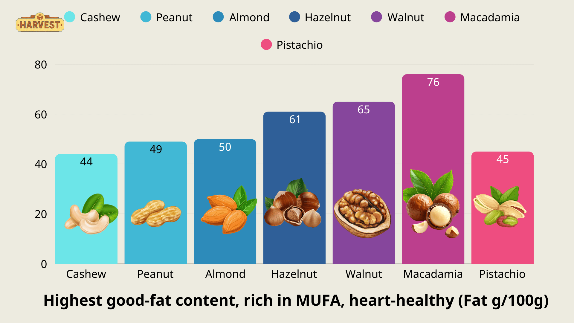 Why You Should Eat a Variety of Nut Butters 3 Ham Luong 1