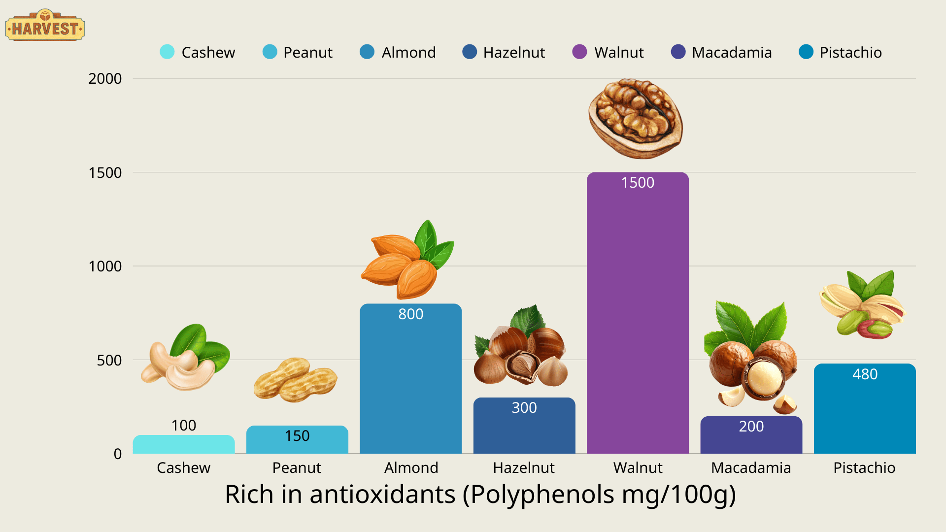 Why You Should Eat a Variety of Nut Butters 6 Ham Luong 2