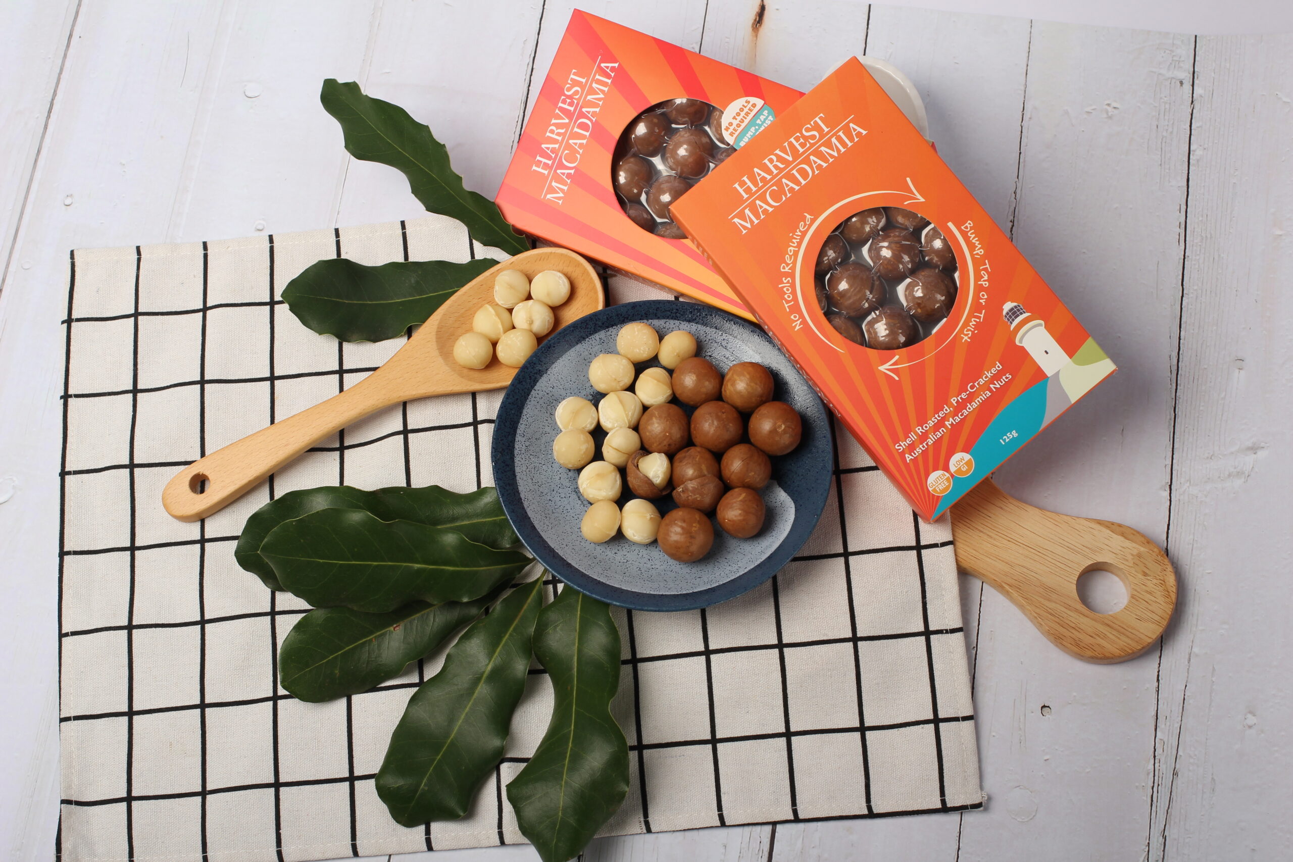 About 4 IMG 7261 scaled